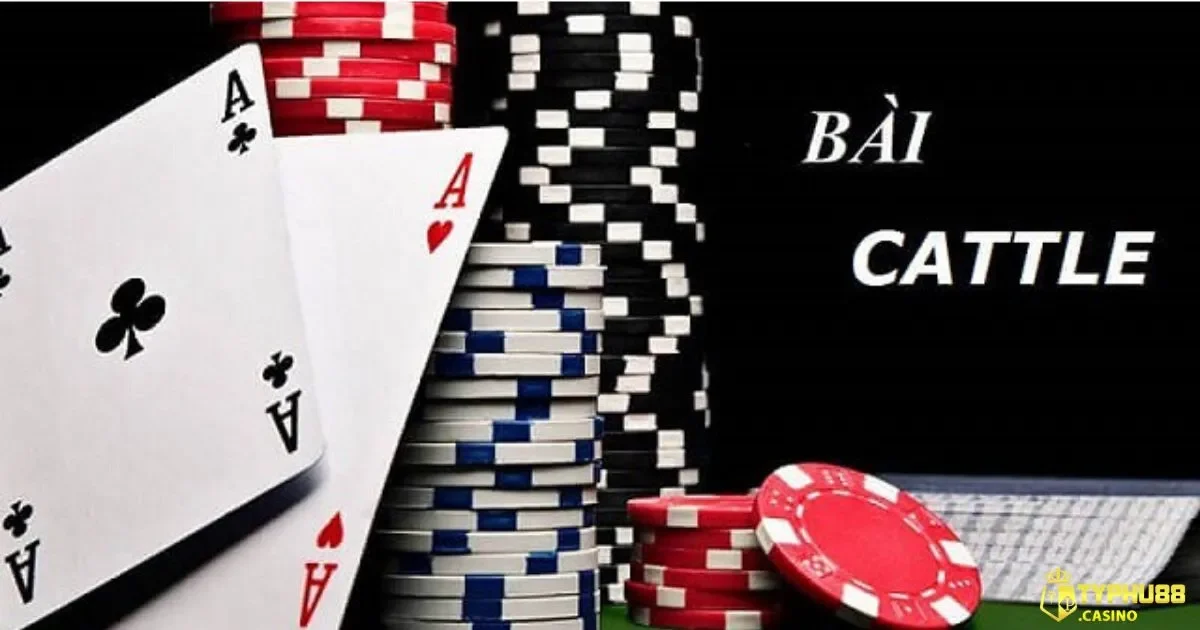 Bài Catte Typhu88 – Thử Thách Đầy Tính Sáng Tạo 4 Quy Tắc Cơ Bản Của Trò Chơi