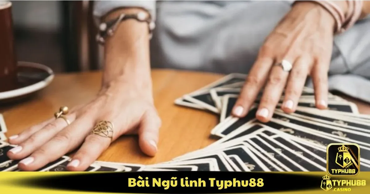 Tại Sao Ngũ Linh Typhu88 Là Sự Lựa Chọn Hàng Đầu?