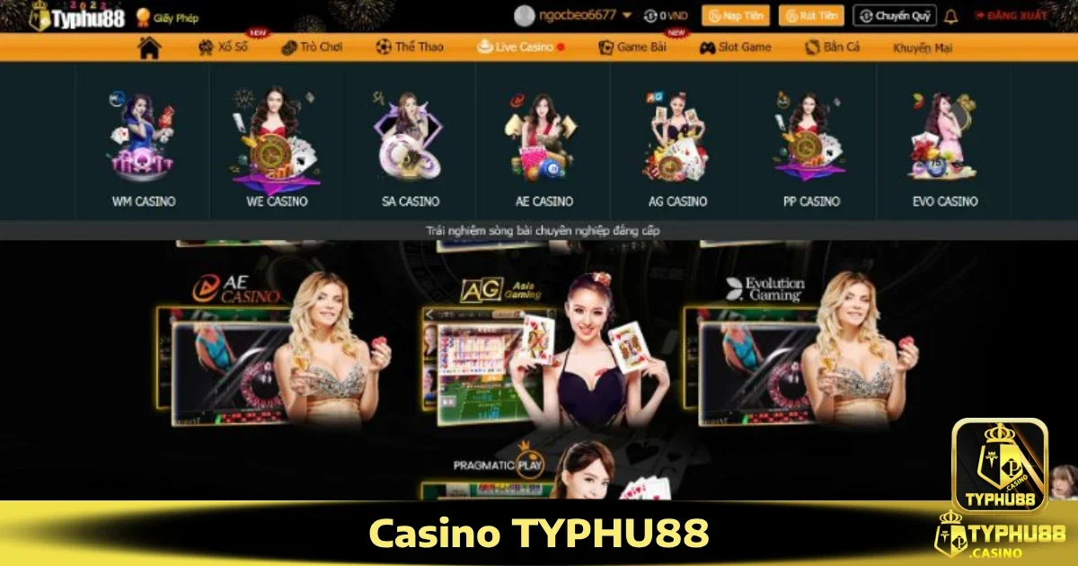 Hướng dẫn tham gia Casino Typhu88