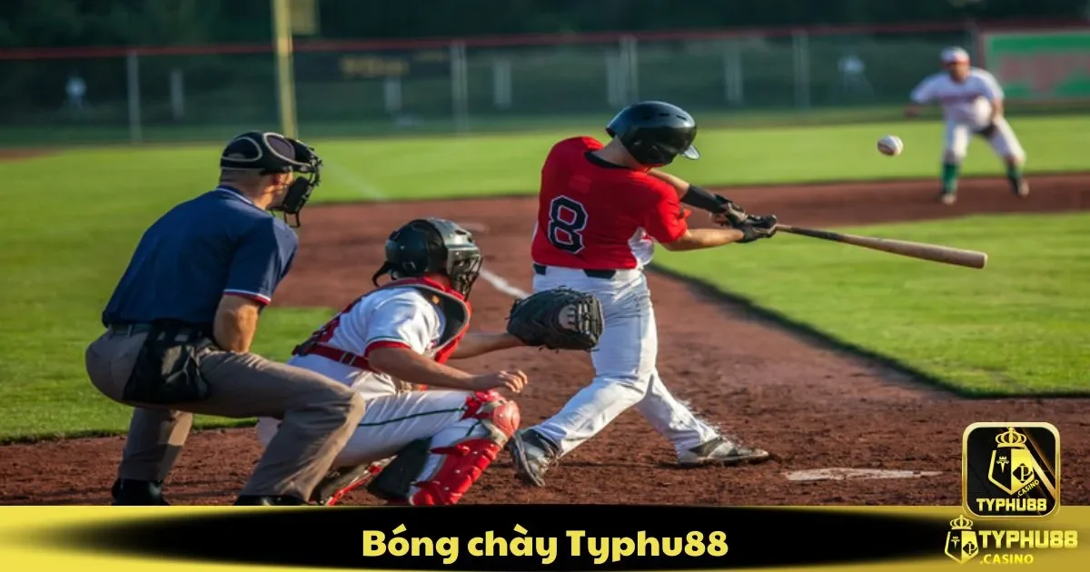 Bóng Chày Typhu88: Hướng Dẫn Cách Chơi Và Mẹo Đặt Cược