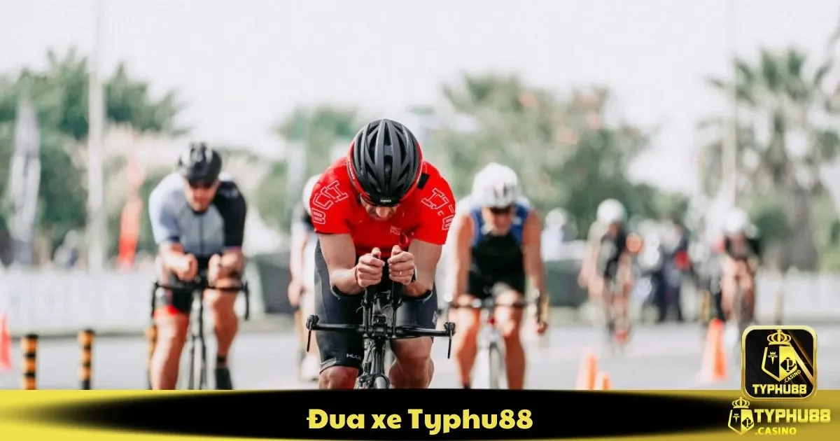 Cá cược đua xe Typhu88 là gì? Hướng dẫn từ cơ bản đến nâng cao