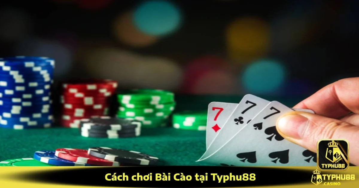 Cách Chơi Bài Cào Tại Typhu88 – Game Bài Ba Lá Siêu Tốc