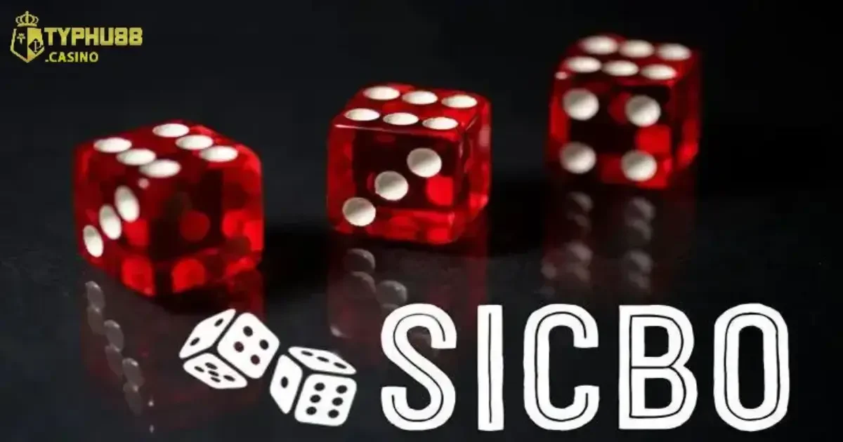 Kinh nghiệm chơi Sicbo Typhu88 mới nhất