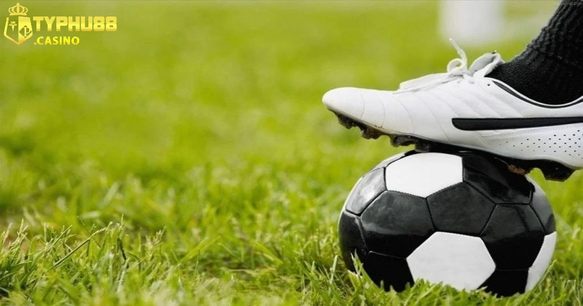 Cách phân tích và soi kèo bóng đá Typhu88